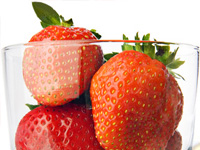 Webkatalog-Gesundheit