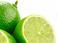 Webkatalog-Gesundheit